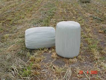 Soldurulmu? Ot Silaj?